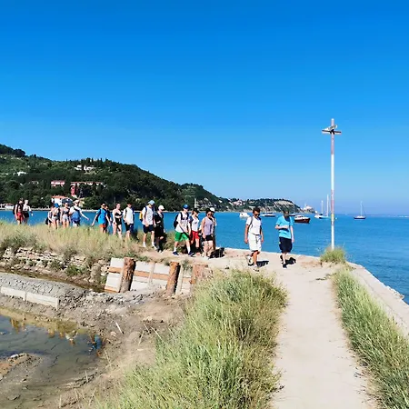 파노라마 호스텔 *