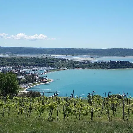 Panorama *